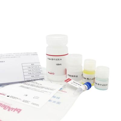 PH0328 | Lowry蛋白定量试剂盒 (Lowry Protein Assay Kit)